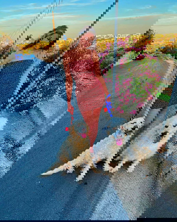 bakedsloths bakedsloths archive image