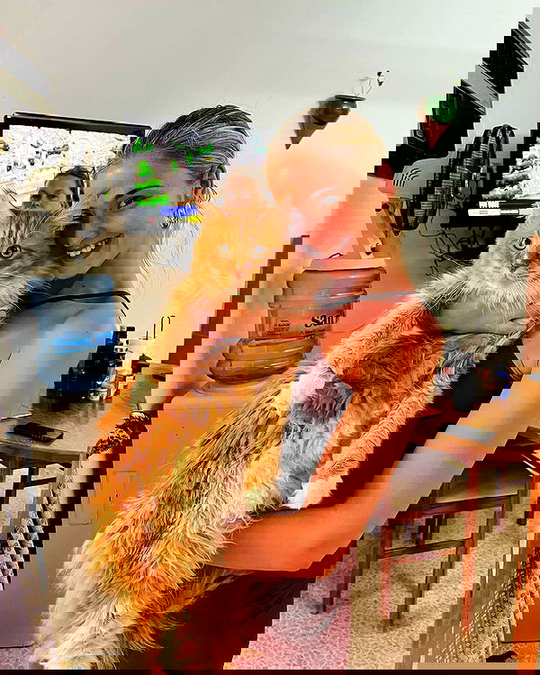 bakedsloths bakedsloths archive image