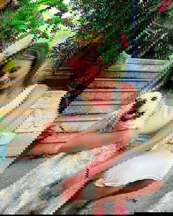 bakedsloths bakedsloths archive image