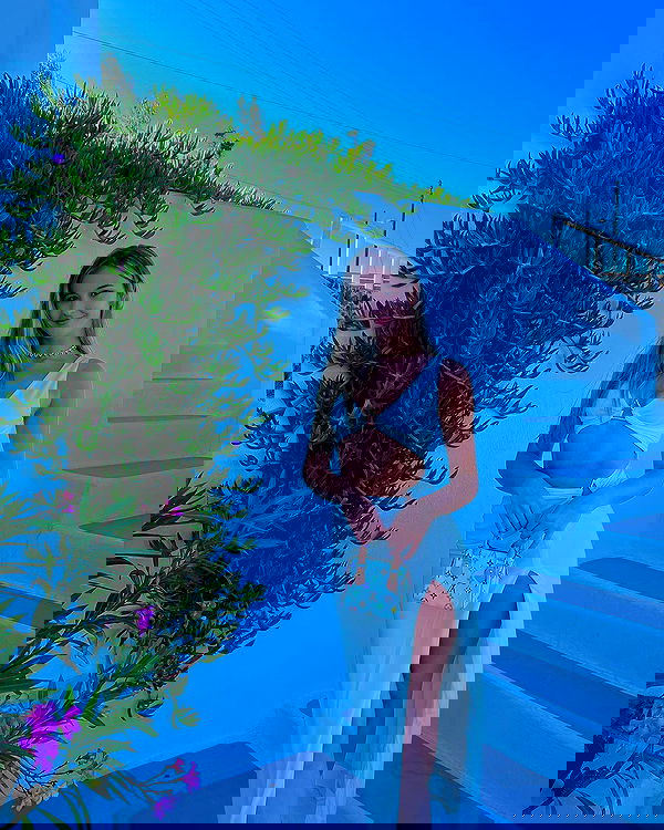 bakedsloths bakedsloths archive image