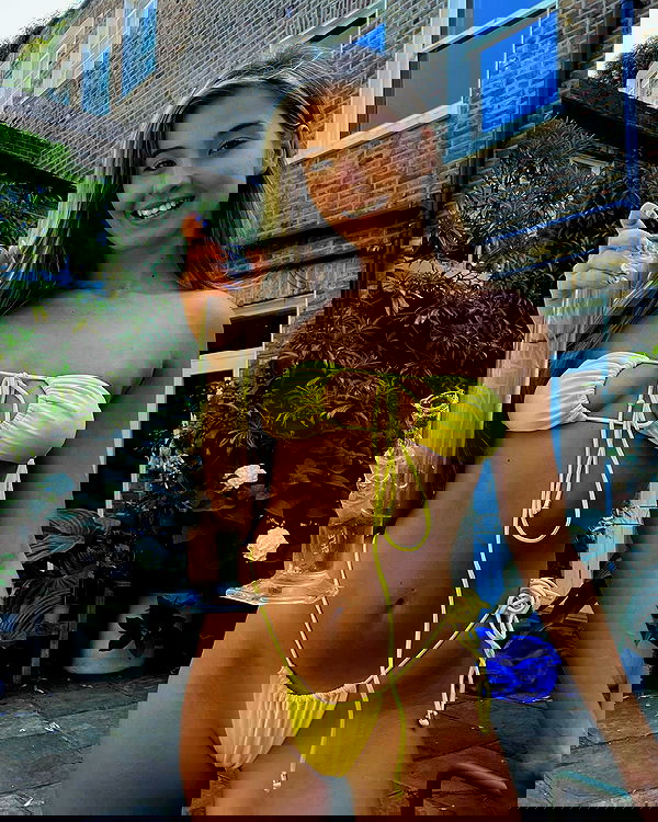 bakedsloths bakedsloths archive image