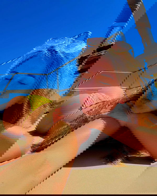 bakedsloths bakedsloths archive image