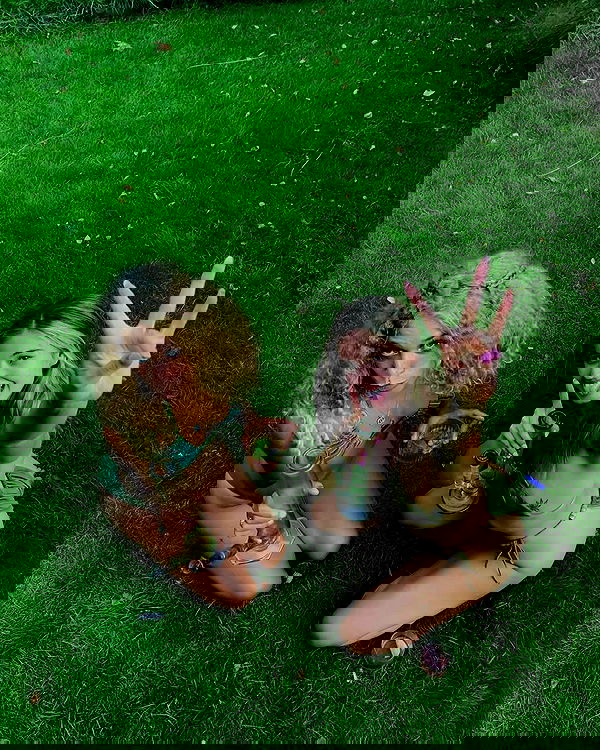 bakedsloths bakedsloths archive image