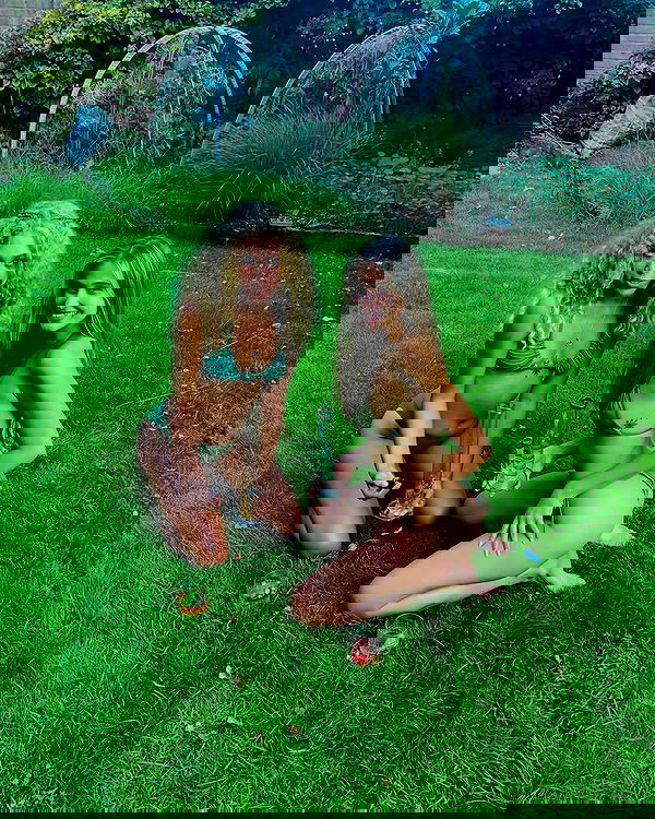 bakedsloths bakedsloths archive image