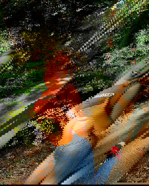 bakedsloths bakedsloths archive image