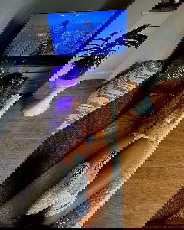 bakedsloths bakedsloths archive image