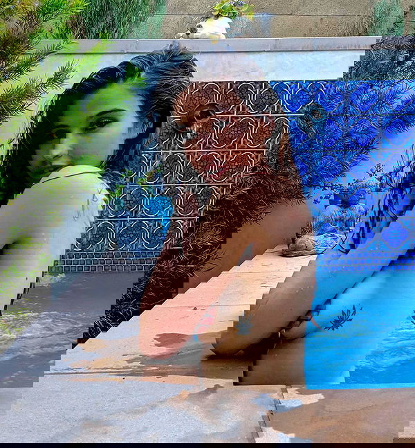 bakedsloths bakedsloths archive image