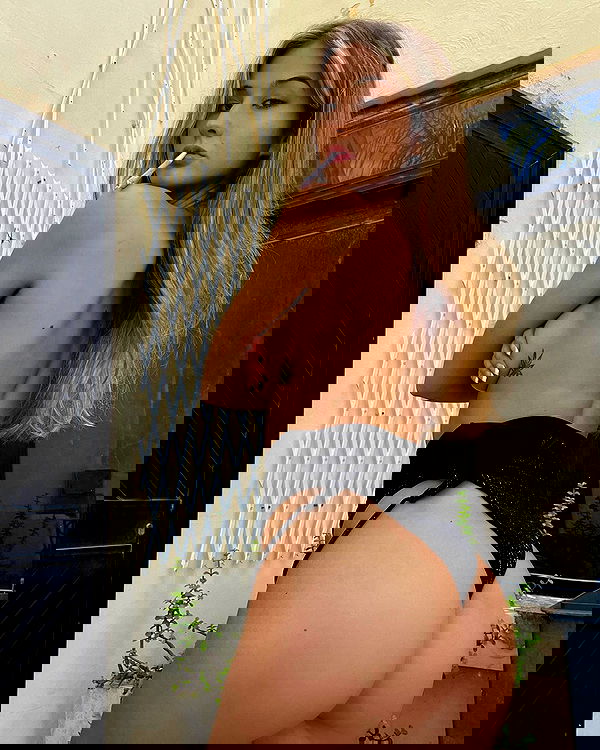 bakedsloths bakedsloths archive image