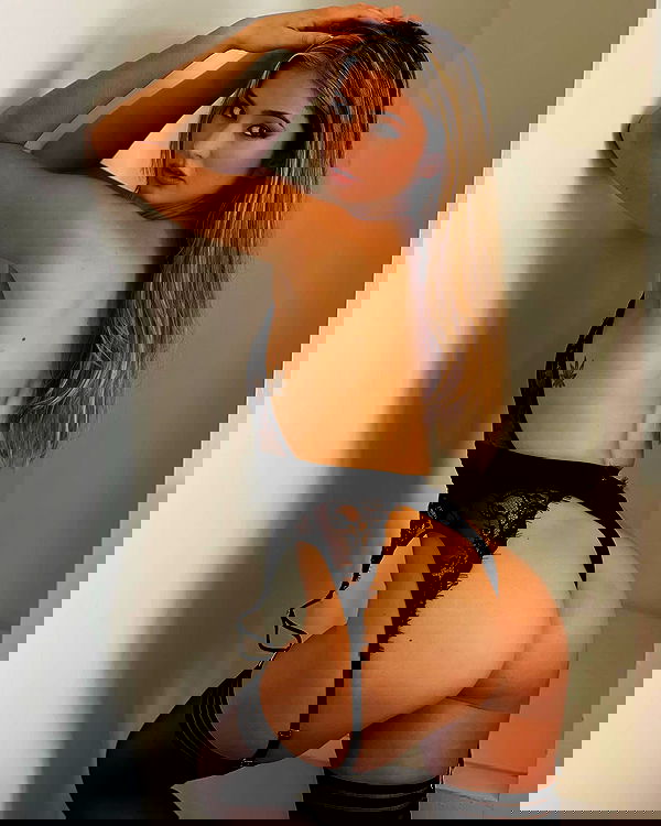 bakedsloths bakedsloths archive image