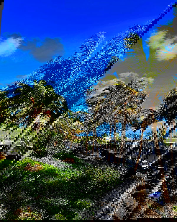 bakedsloths bakedsloths archive image