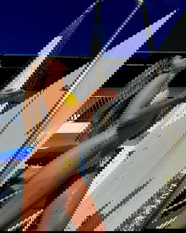 bakedsloths bakedsloths archive image