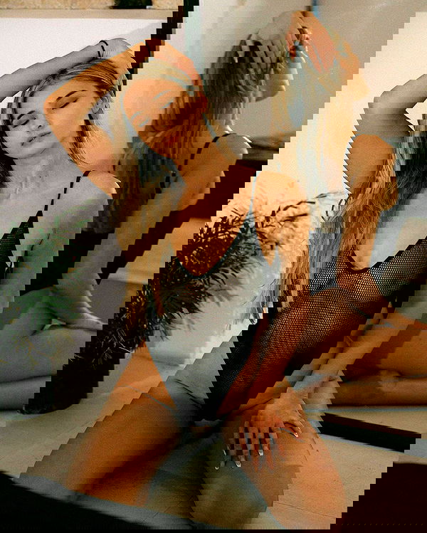 bakedsloths bakedsloths archive image