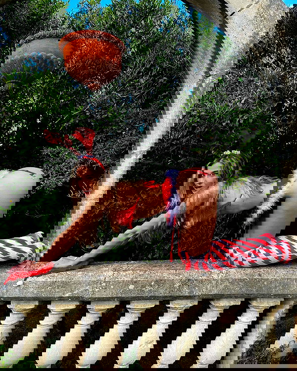 bakedsloths bakedsloths archive image