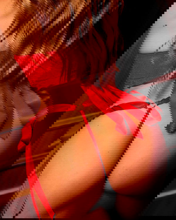 bakedsloths bakedsloths archive image