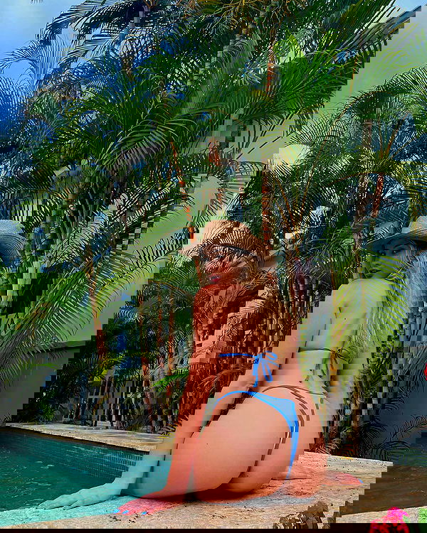 bakedsloths bakedsloths archive image