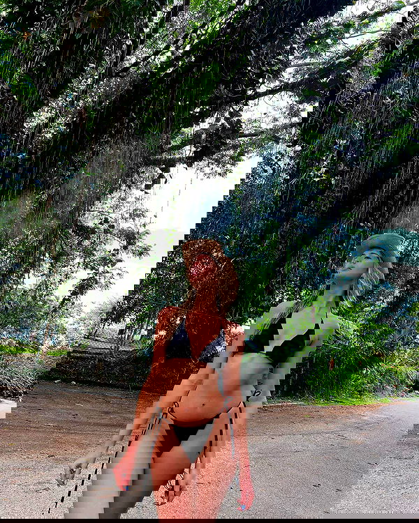 bakedsloths bakedsloths archive image