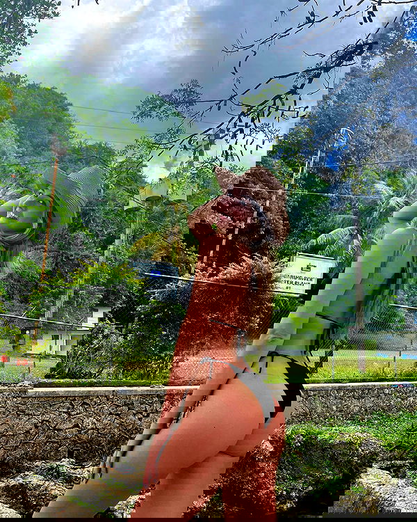 bakedsloths bakedsloths archive image