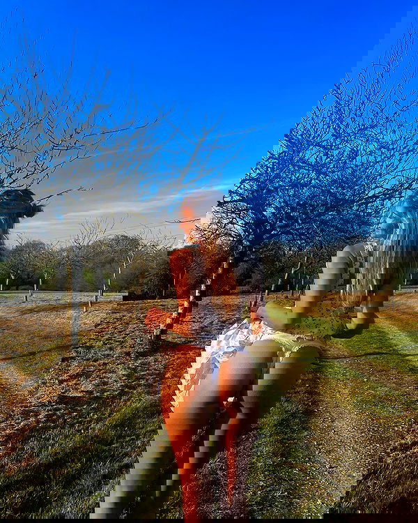 bakedsloths bakedsloths archive image