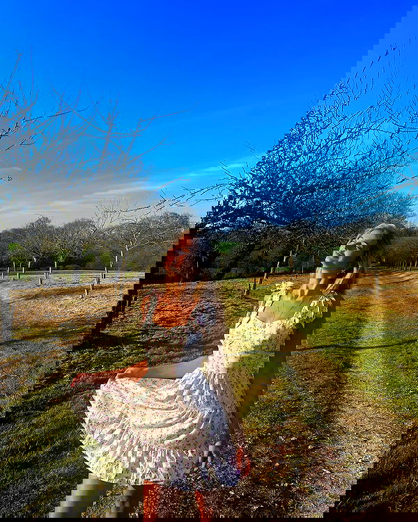 bakedsloths bakedsloths archive image