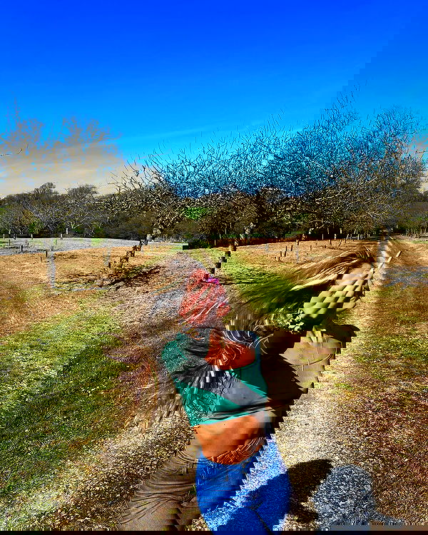 bakedsloths bakedsloths archive image