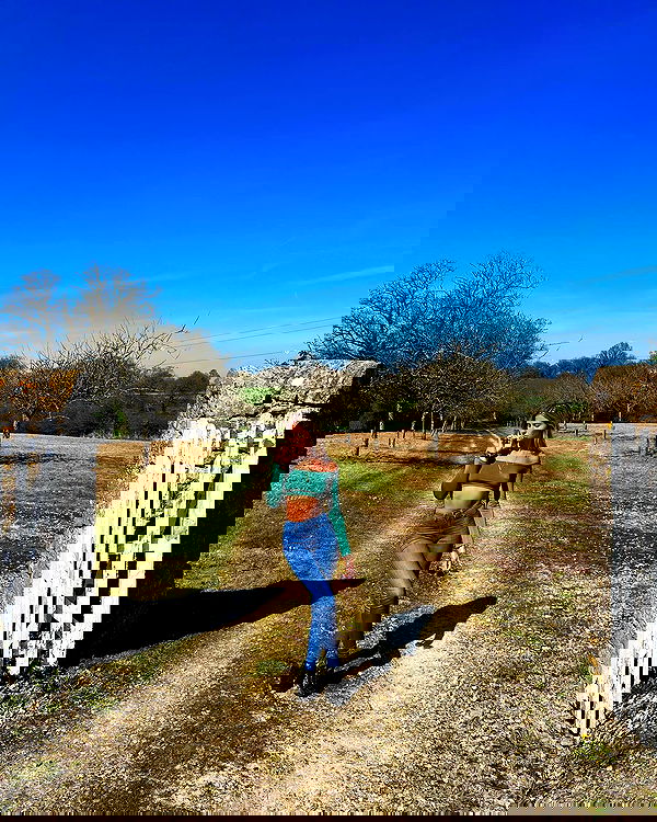 bakedsloths bakedsloths archive image