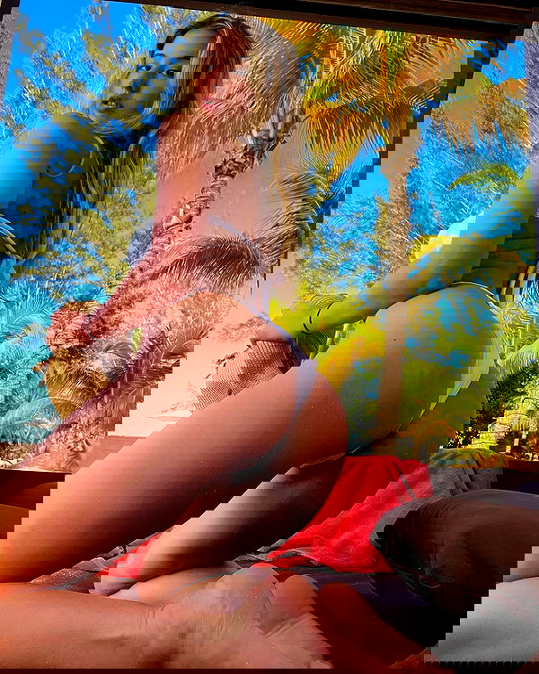 bakedsloths bakedsloths archive image