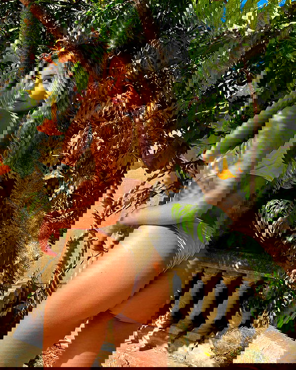 bakedsloths bakedsloths archive image