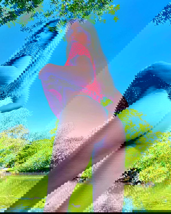 bakedsloths bakedsloths archive image