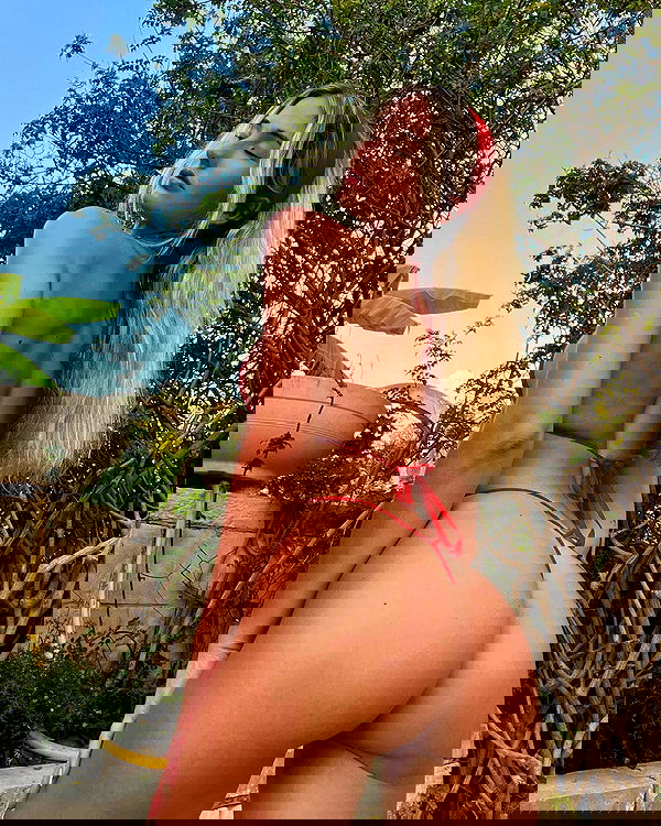 bakedsloths bakedsloths archive image