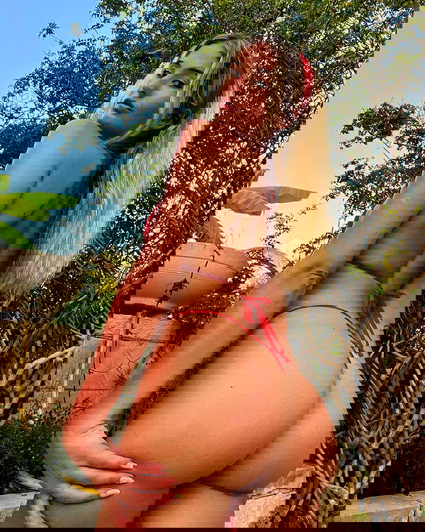 bakedsloths bakedsloths archive image