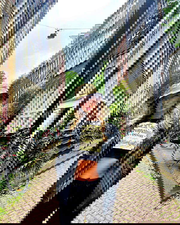 bakedsloths bakedsloths archive image