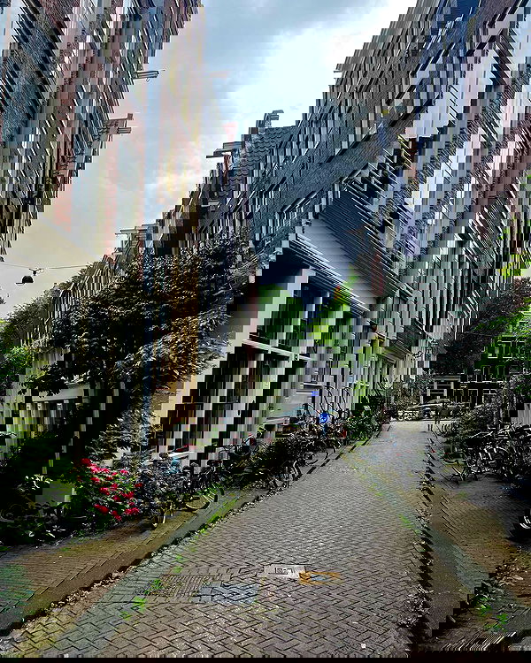 bakedsloths bakedsloths archive image