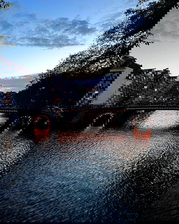 bakedsloths bakedsloths archive image