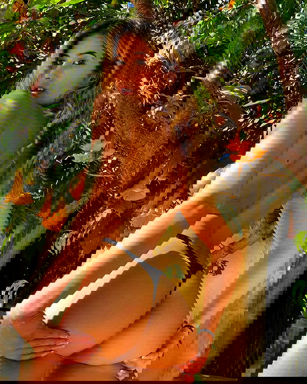 bakedsloths bakedsloths archive image