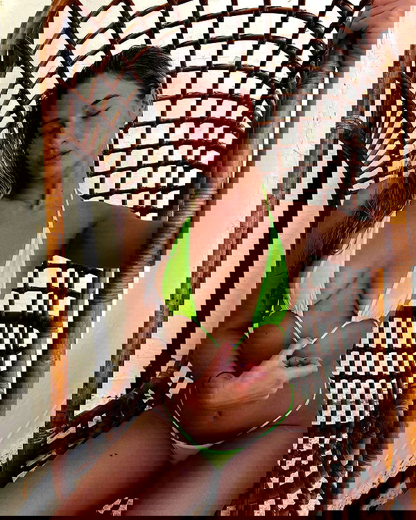 bakedsloths bakedsloths archive image