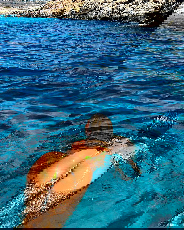 bakedsloths bakedsloths archive image