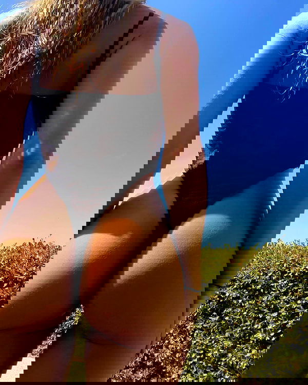 bakedsloths bakedsloths archive image