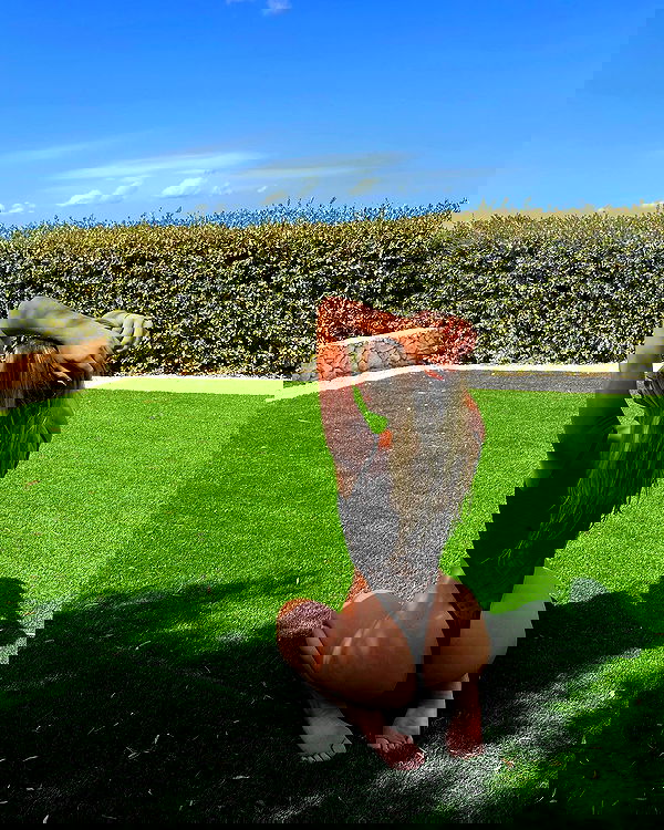 bakedsloths bakedsloths archive image