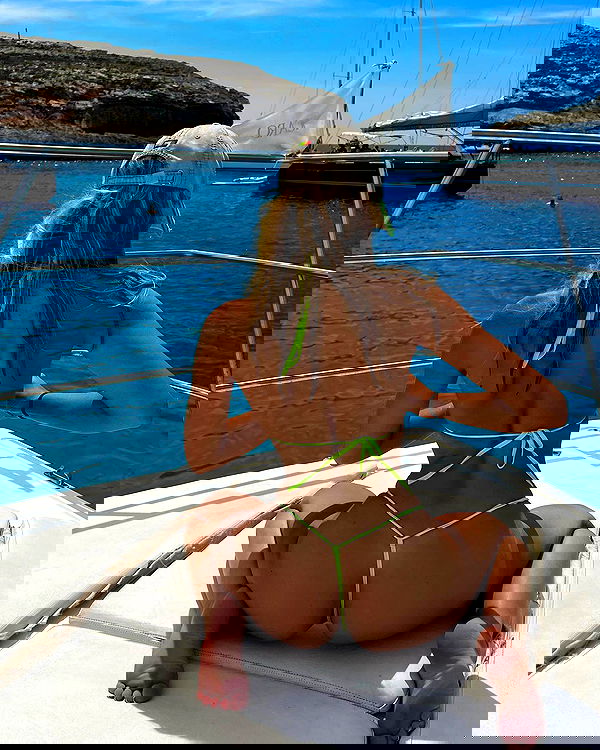 bakedsloths bakedsloths archive image