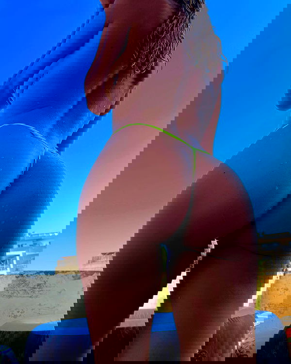 bakedsloths bakedsloths archive image