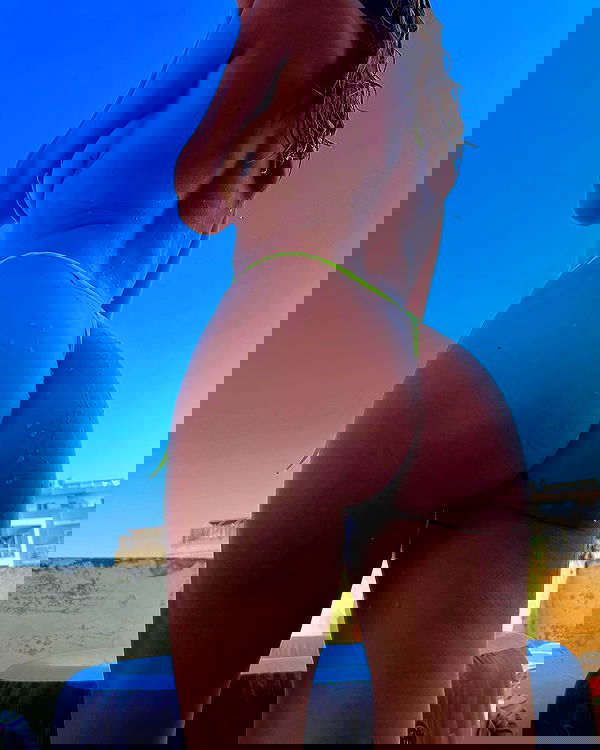 bakedsloths bakedsloths archive image