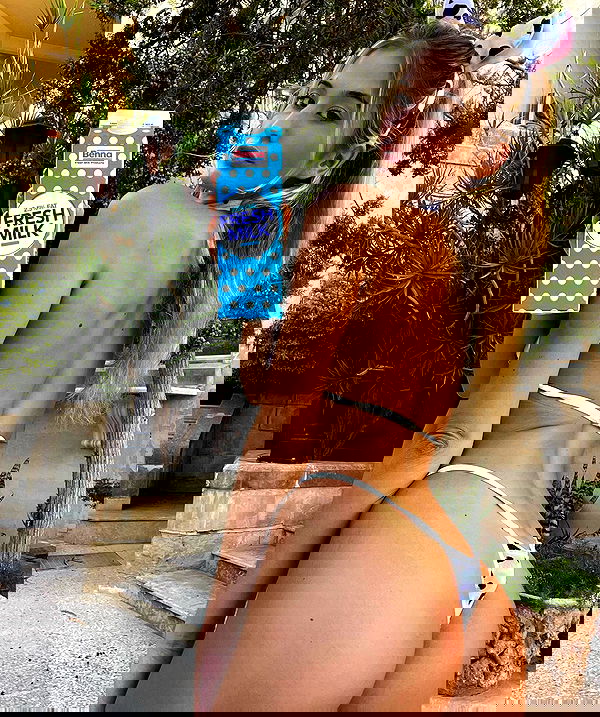 bakedsloths bakedsloths archive image