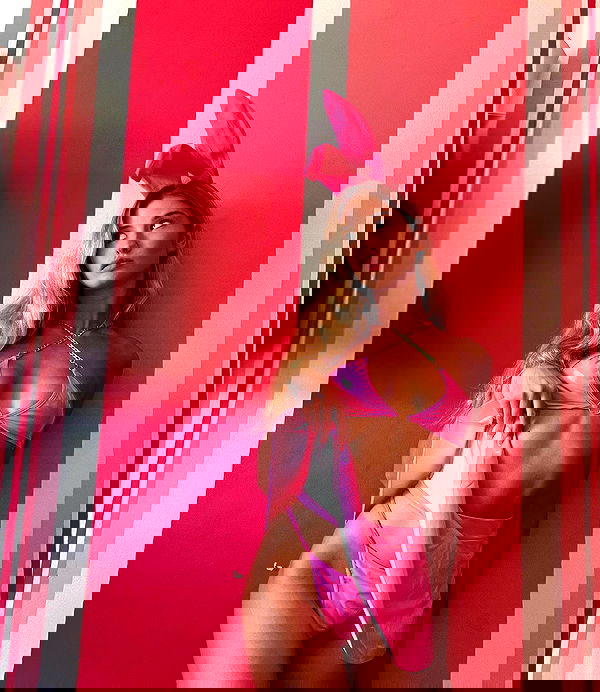 bakedsloths bakedsloths archive image