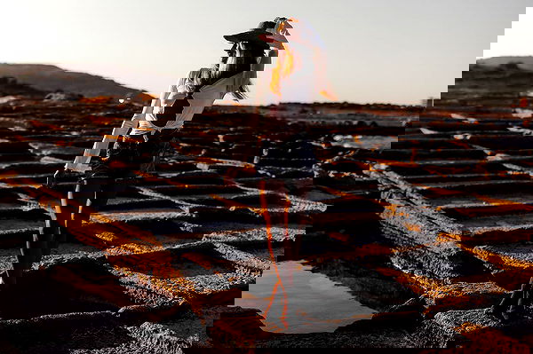 bakedsloths bakedsloths archive image