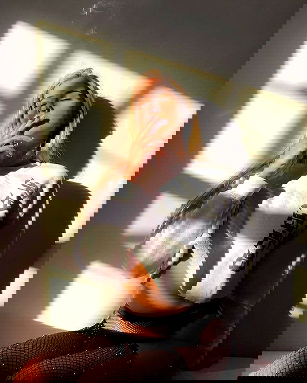 bakedsloths bakedsloths archive image