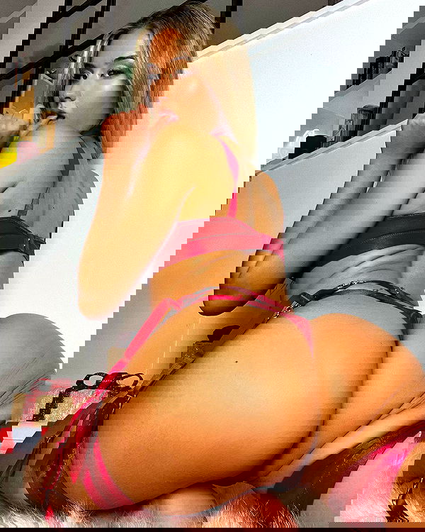 bakedsloths bakedsloths archive image