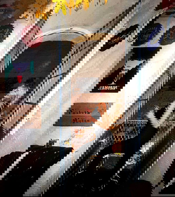 bakedsloths bakedsloths archive image