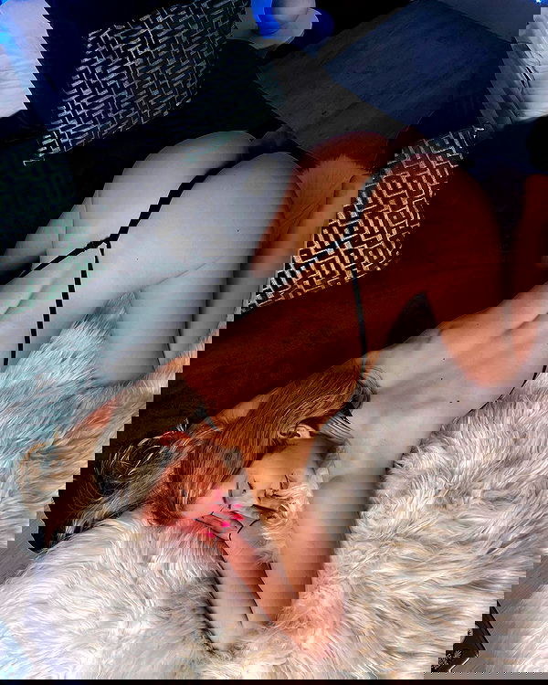 bakedsloths bakedsloths archive image