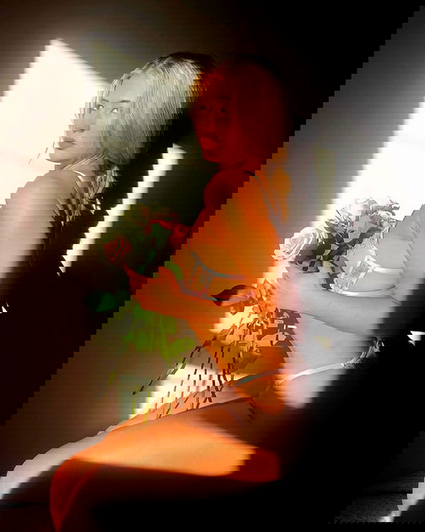 bakedsloths bakedsloths archive image