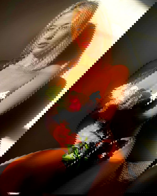 bakedsloths bakedsloths archive image